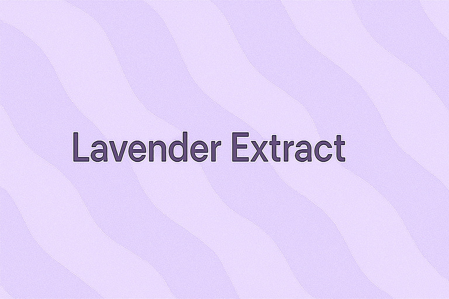 Lavender Extract: The Timeless Botanical for Calm, Balanced, and Radiant Skin