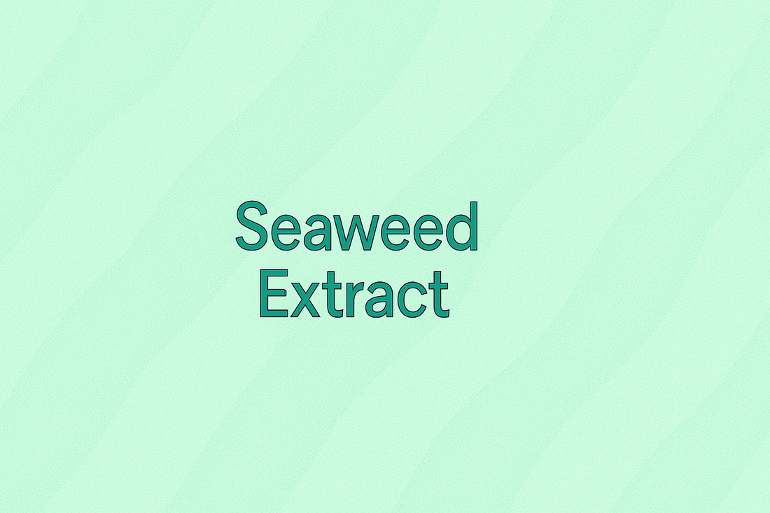 Seaweed Extract: The Ocean's Mineral-Rich Powerhouse for Detoxifying and Revitalizing Skin