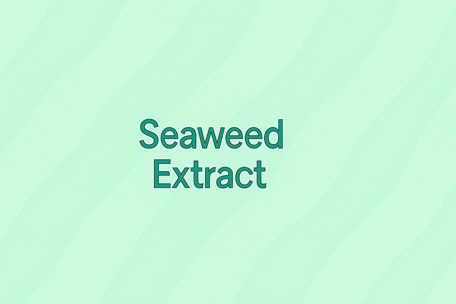 Seaweed Extract: The Ocean's Mineral-Rich Powerhouse for Detoxifying and Revitalizing Skin