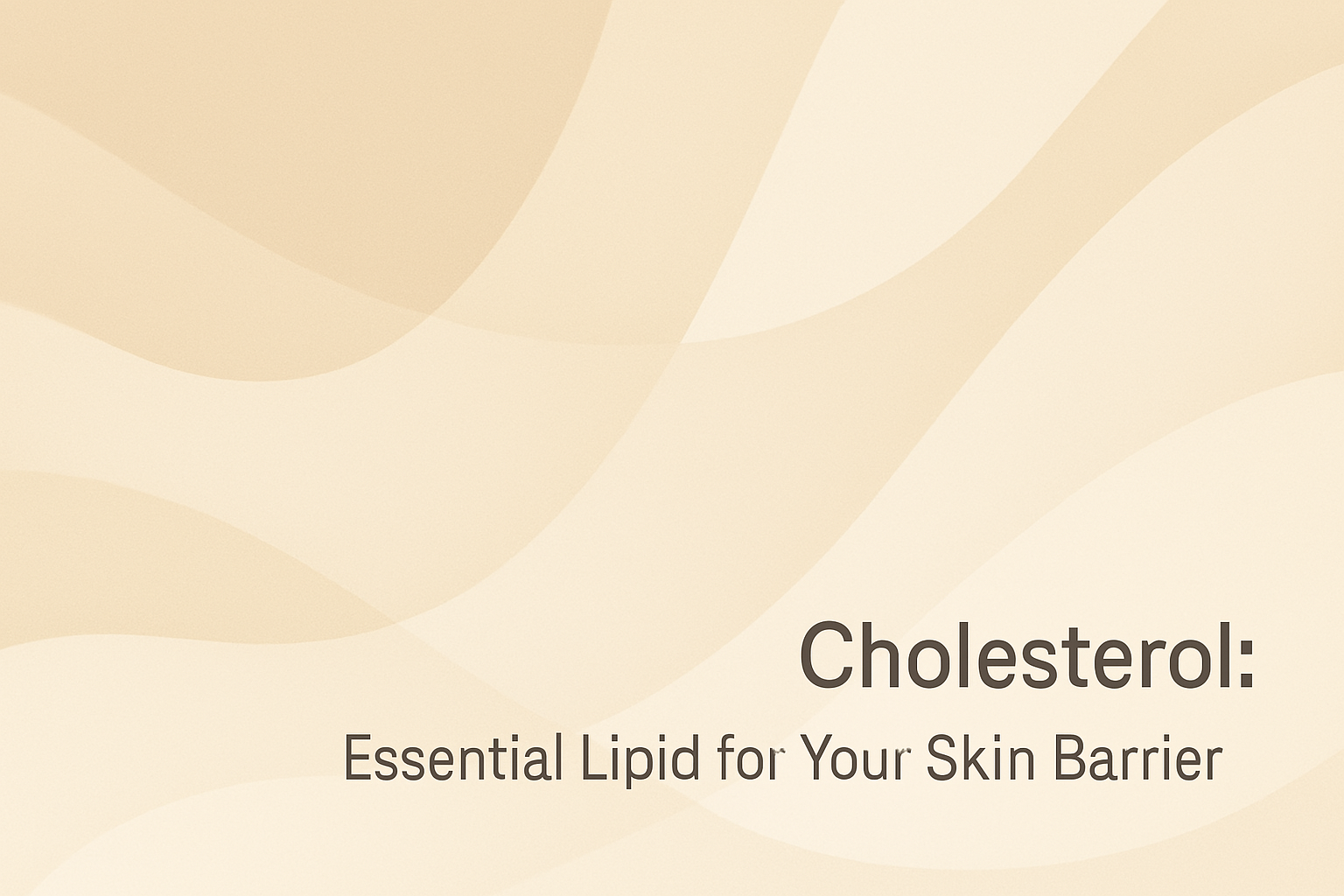 Cholesterol: Essential Lipid for Your Skin Barrier