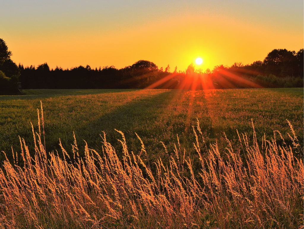 How Rural Living Benefits Your Skin