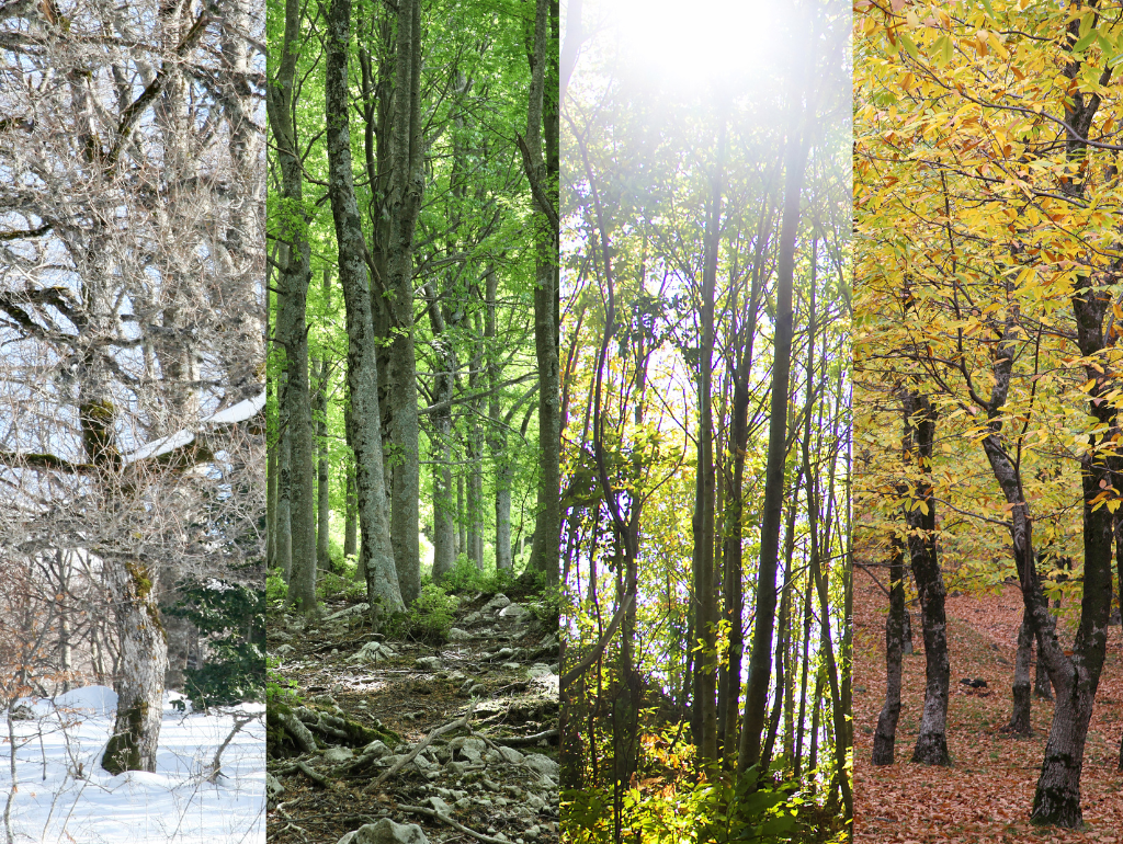How to Transition Your Skincare Routine for Different Seasons