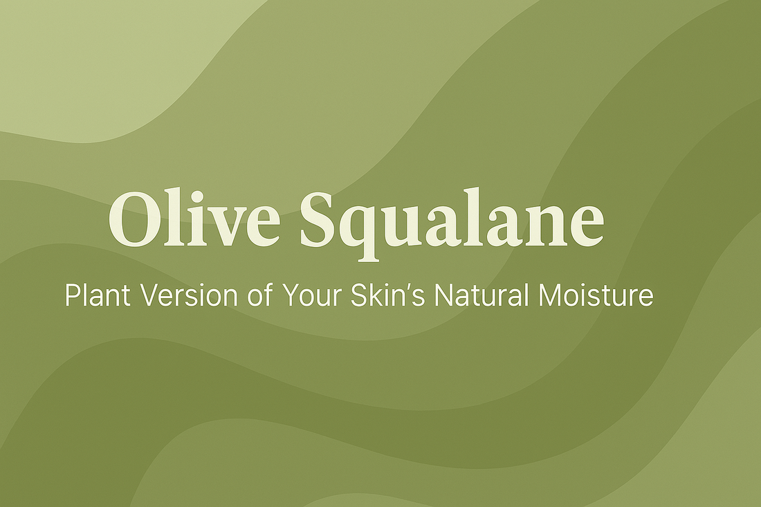 Olive Squalane - Plant Version of Your Skin's Natural Moisture