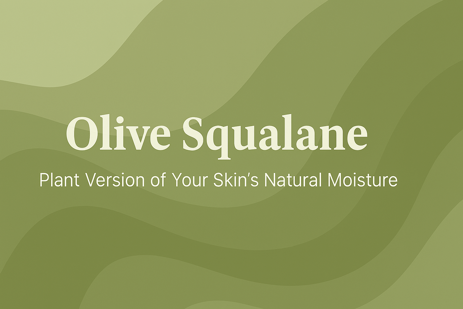 Olive Squalane: Plant Version of Your Skin's Natural Moisture