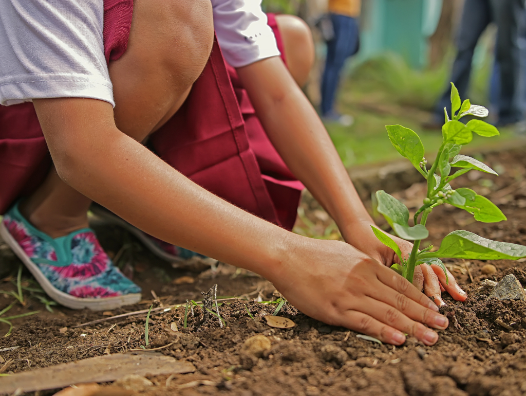 Understanding Environmental Factors That Impact Skin Health