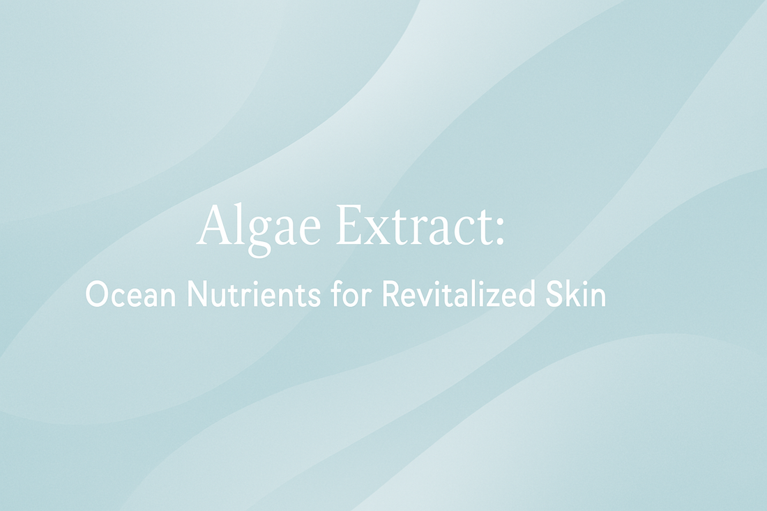 Algae Extract - Ocean Nutrients for Revitalized Skin
