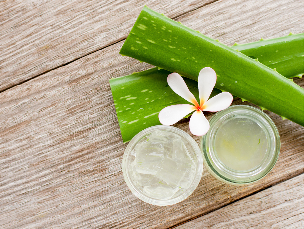 Aloe Vera: Soothing and Hydrating Benefits