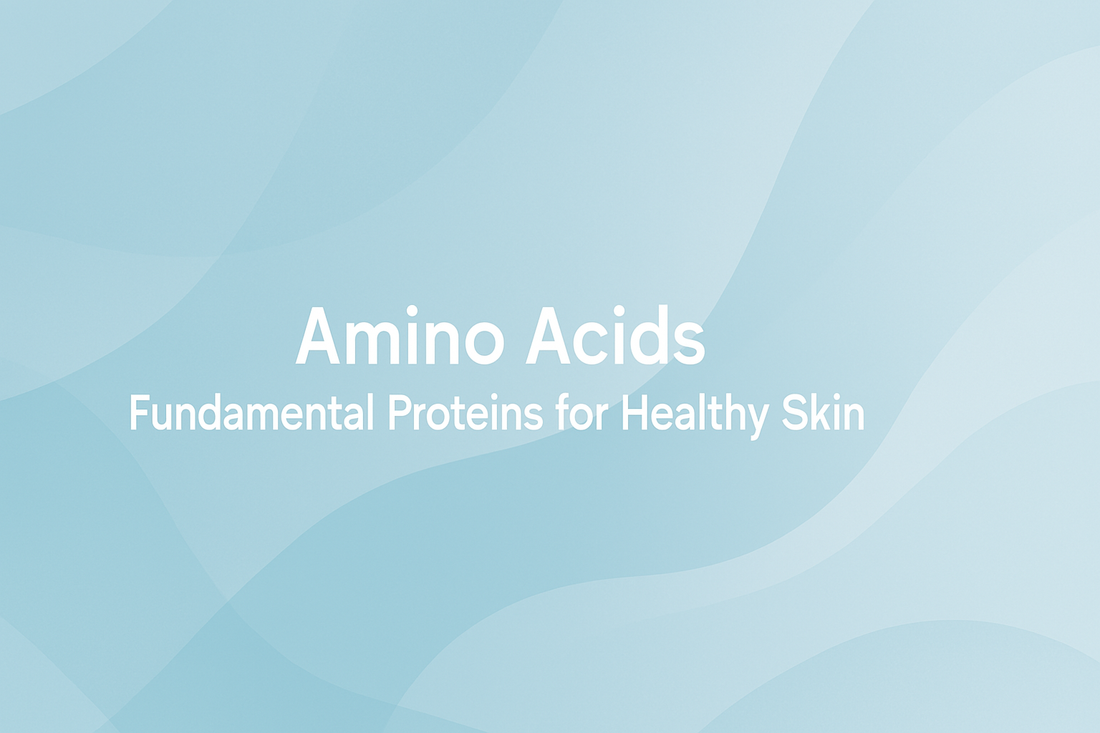 Amino Acids - Fundamental Proteins for Healthy Skin