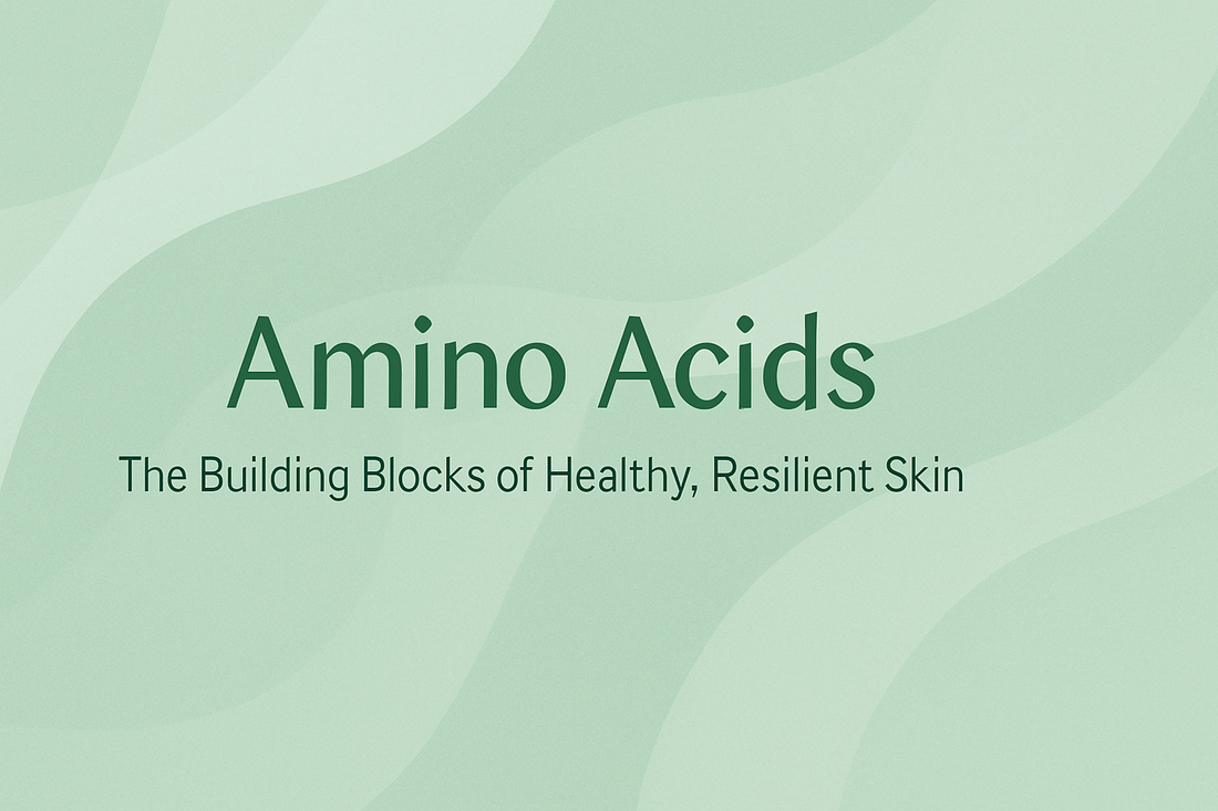 Amino Acids: The Building Blocks of Healthy, Resilient Skin