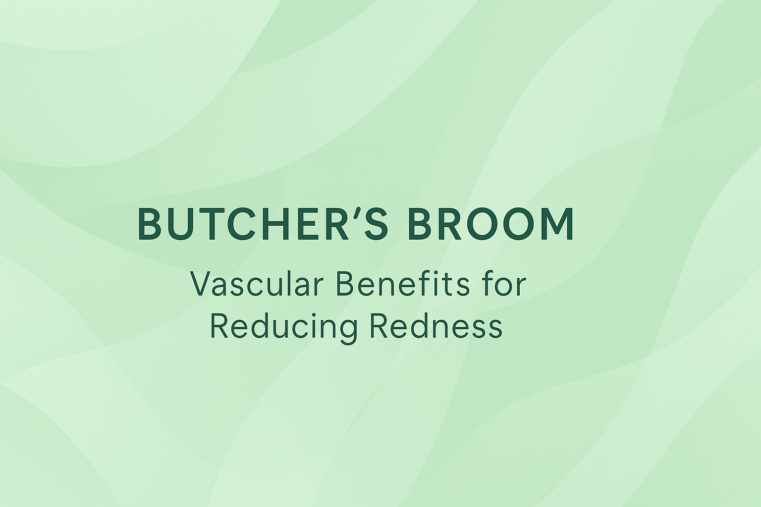 Butcher's Broom: Vascular Benefits for Reducing Redness