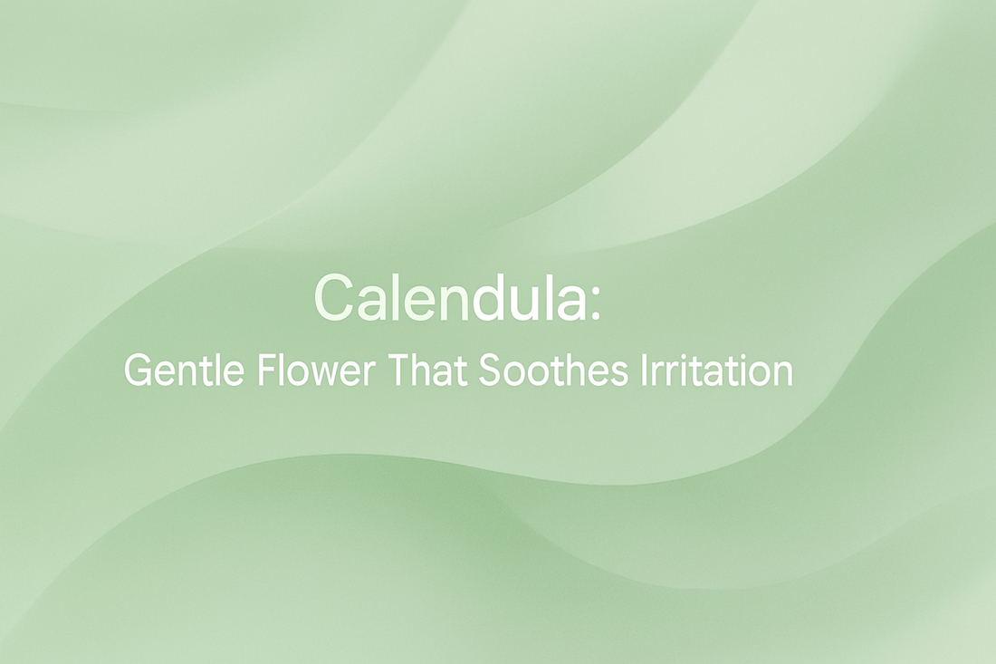 Calendula - Gentle Flower That Soothes Irritation