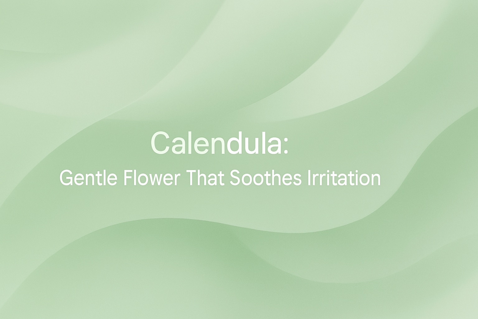 Calendula: Gentle Flower That Soothes Irritation