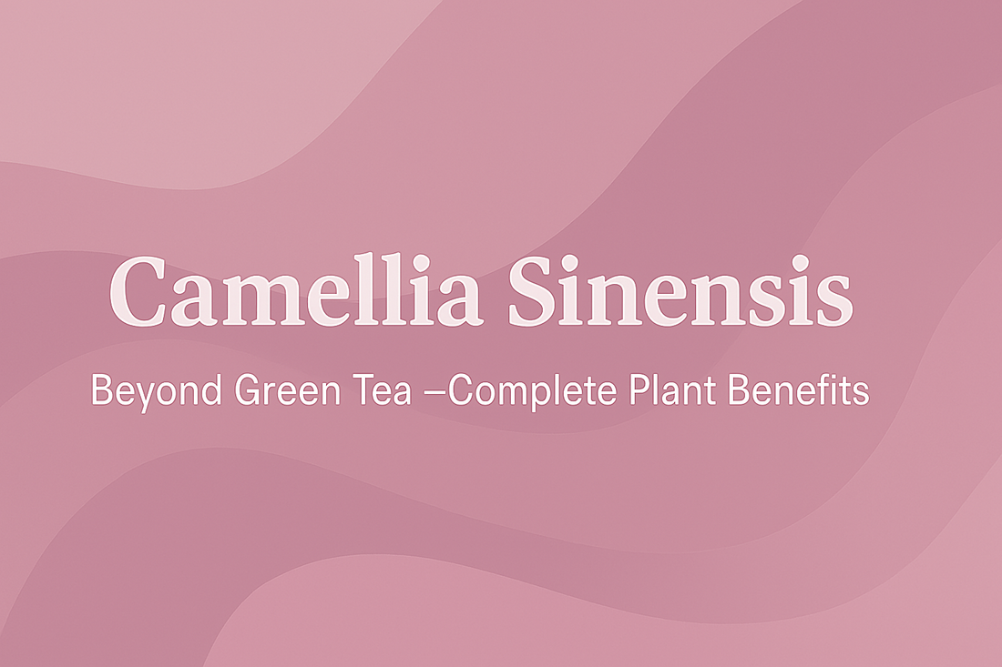 Camellia Sinensis - Beyond Green Tea—Complete Plant Benefits