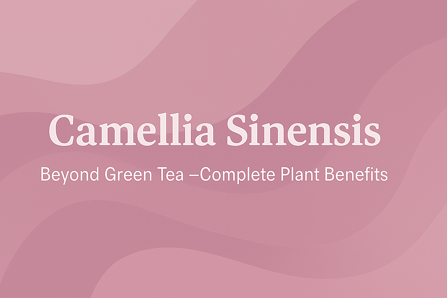 Camellia Sinensis: Beyond Green Tea—Complete Plant Benefits