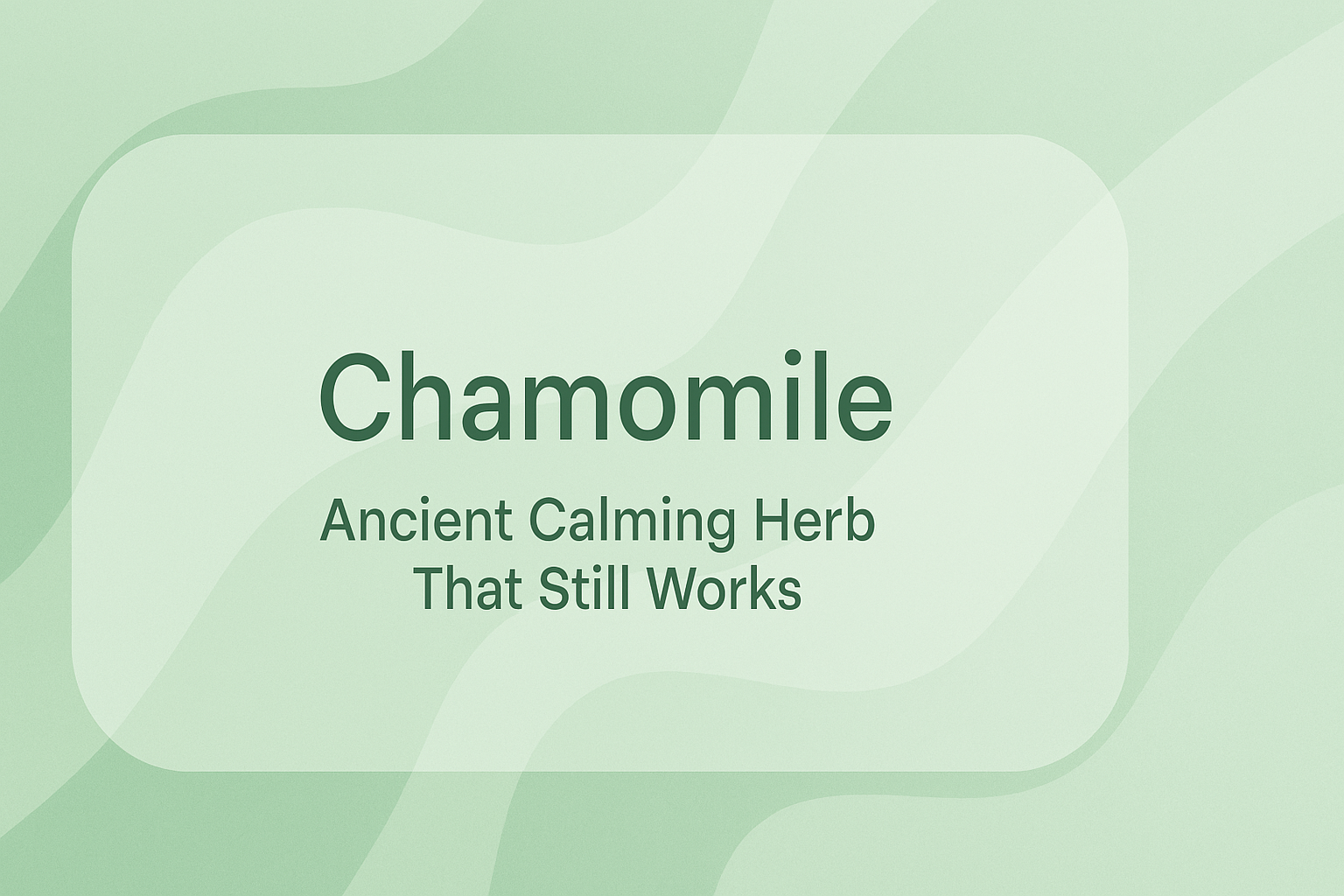 Chamomile: Ancient Calming Herb That Still Works