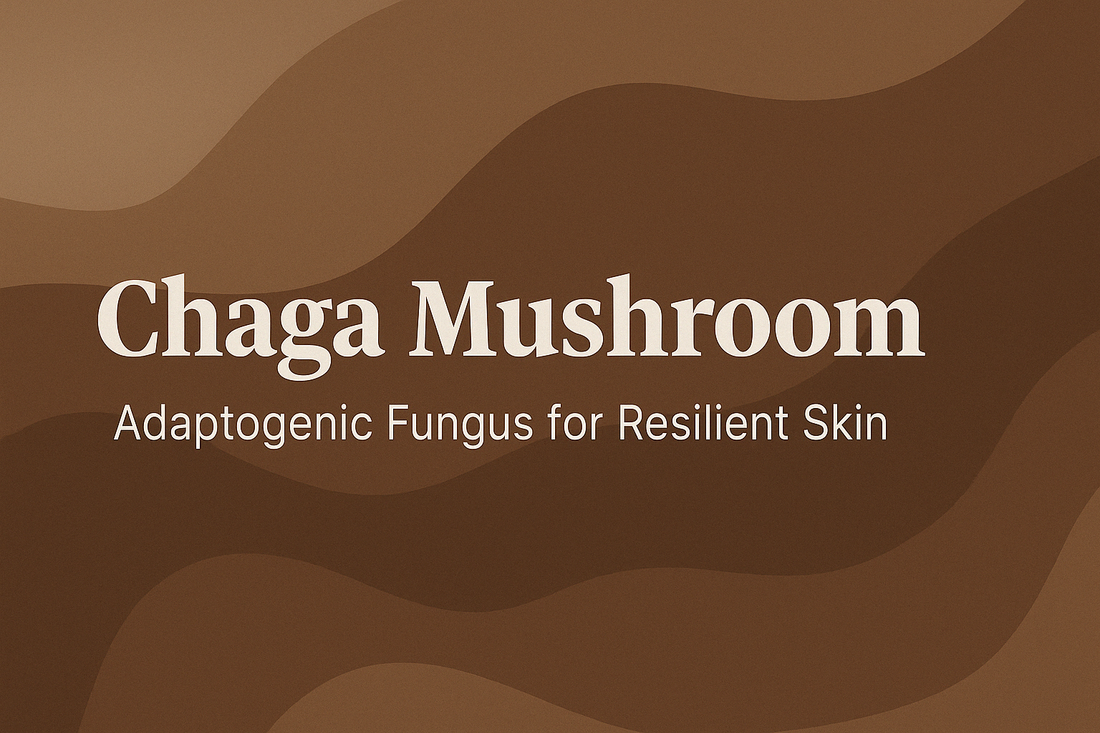 Chaga Mushroom - Adaptogenic Fungus for Resilient Skin
