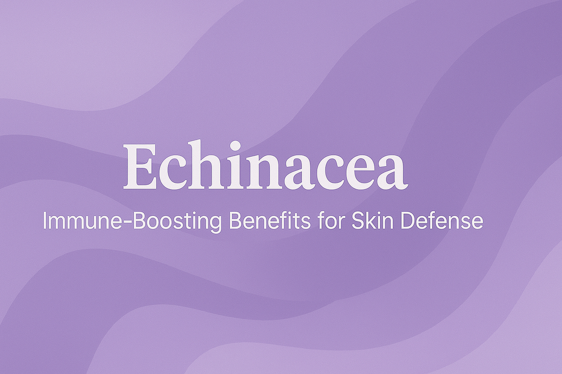 Echinacea - Immune-Boosting Benefits for Skin Defense
