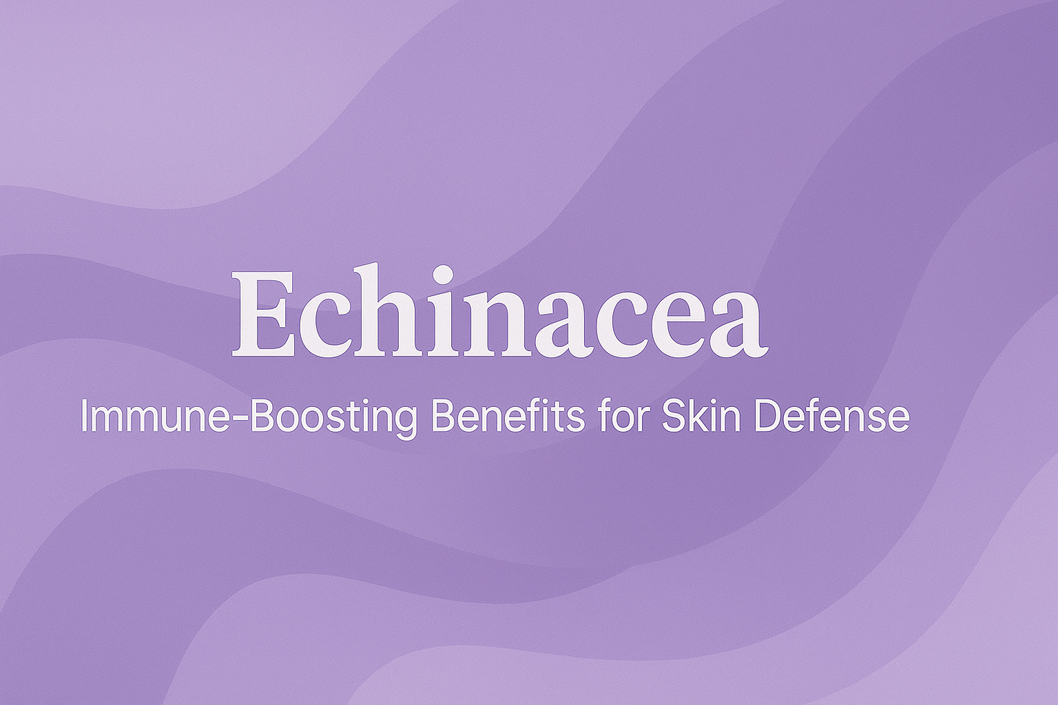 Echinacea: Immune-Boosting Benefits for Skin Defense