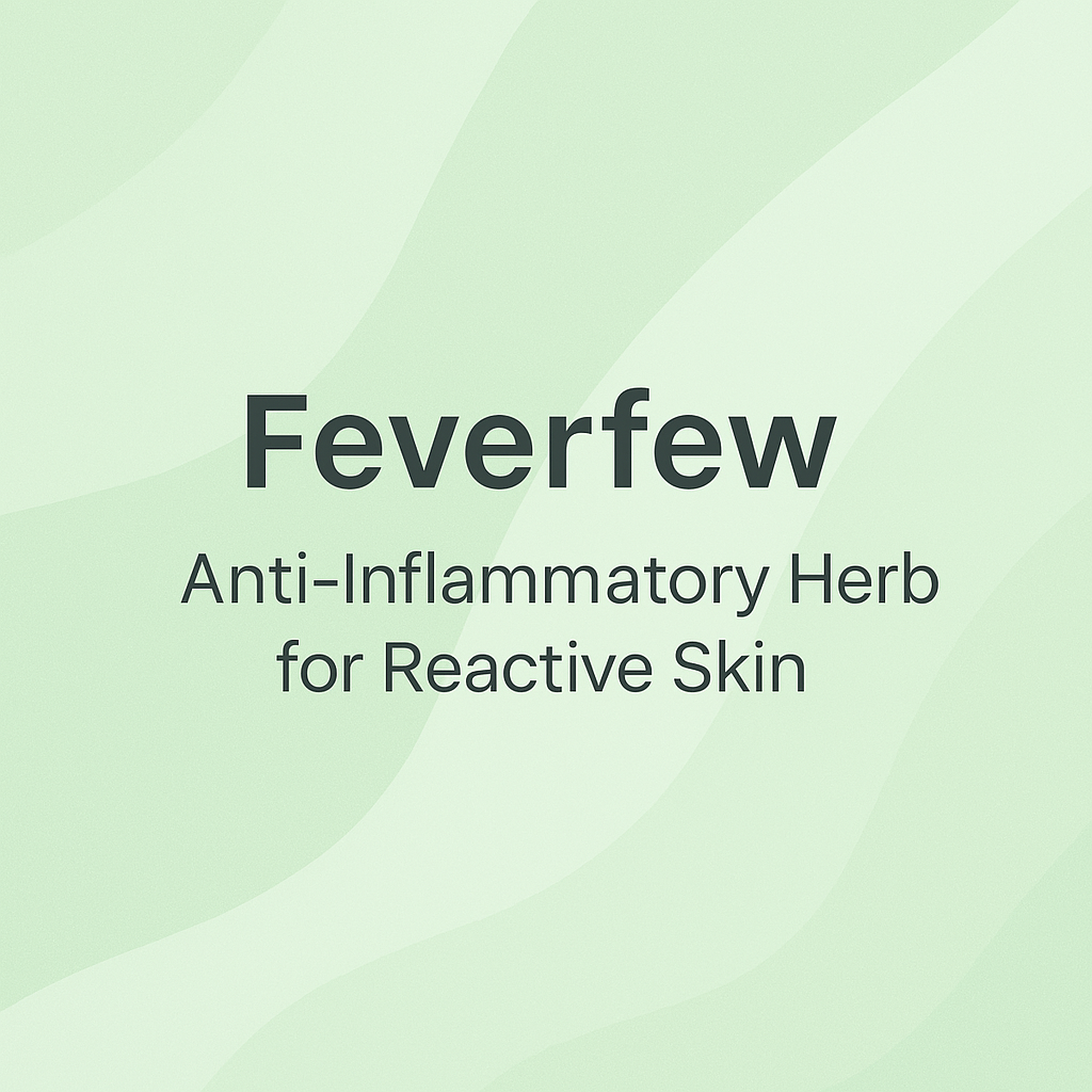 Feverfew: Anti-Inflammatory Herb for Reactive Skin