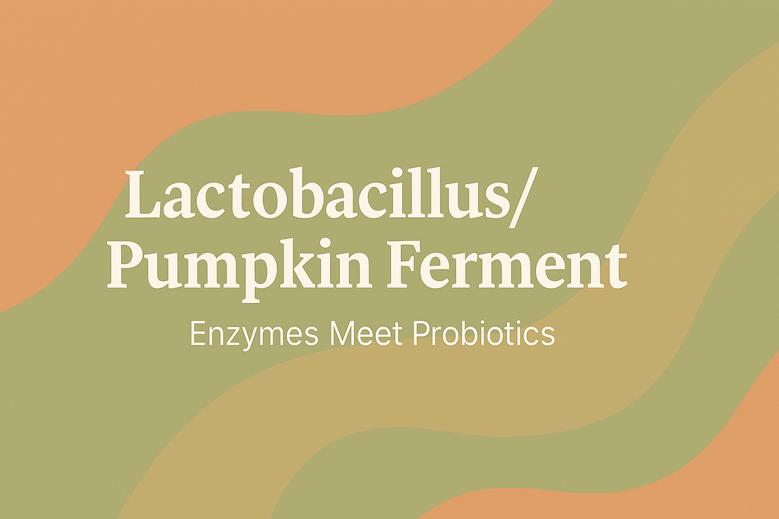 Lactobacillus/Pumpkin Ferment - Enzymes Meet Probiotics