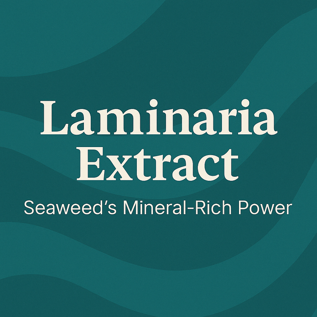 Laminaria Extract: Seaweed's Mineral-Rich Power