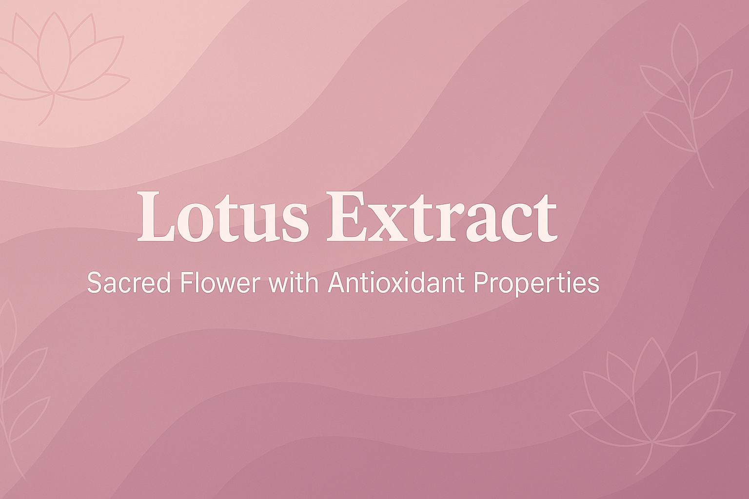 Lotus Extract: Sacred Flower with Antioxidant Properties