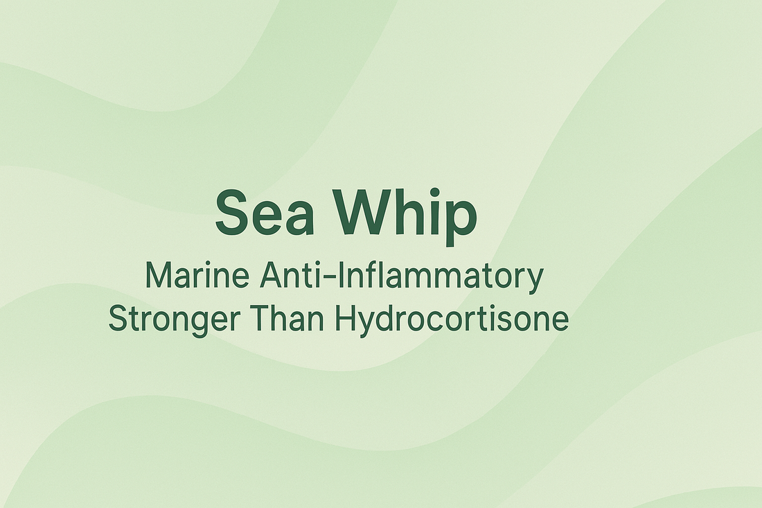 Sea Whip: Marine Anti-Inflammatory Stronger Than Hydrocortisone