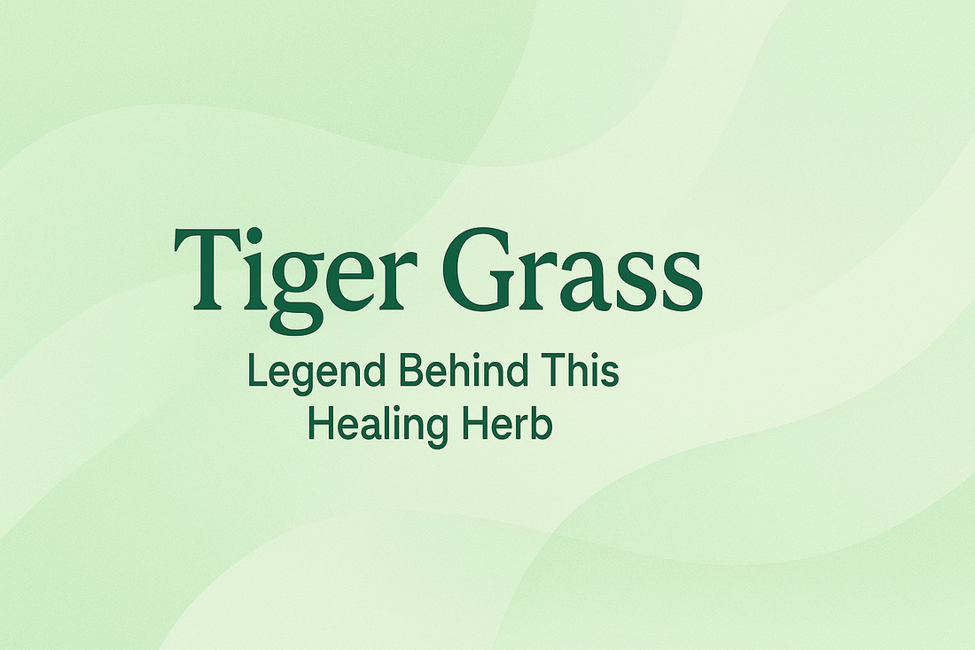 Tiger Grass - Legend Behind This Healing Herb