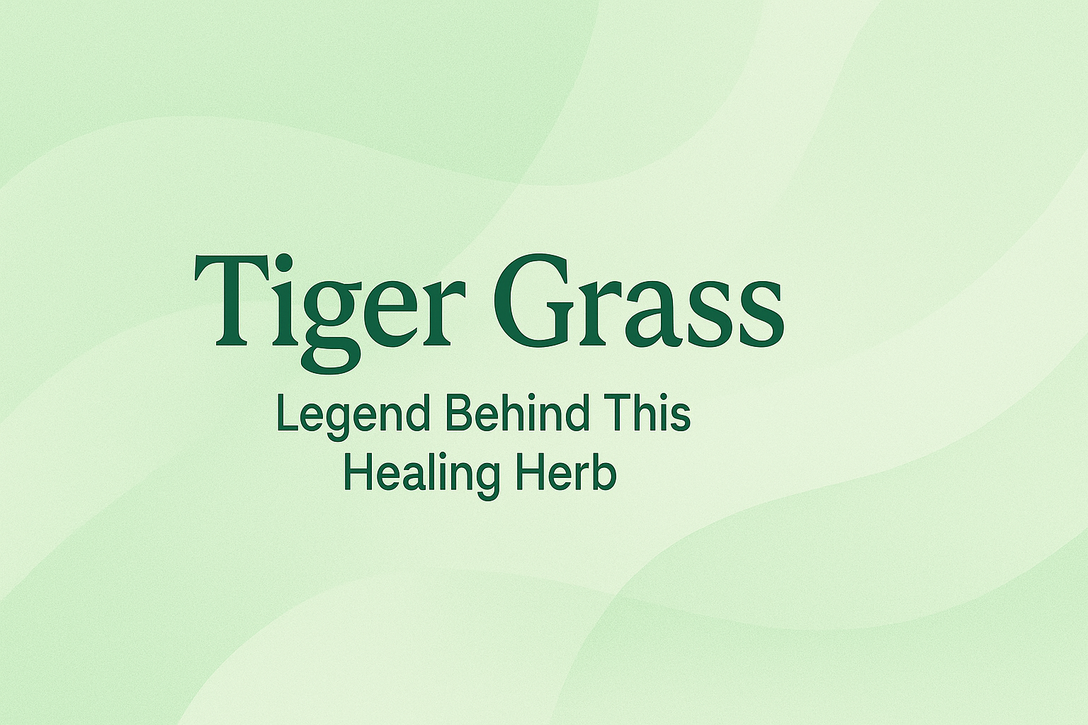 Tiger Grass: Legend Behind This Healing Herb