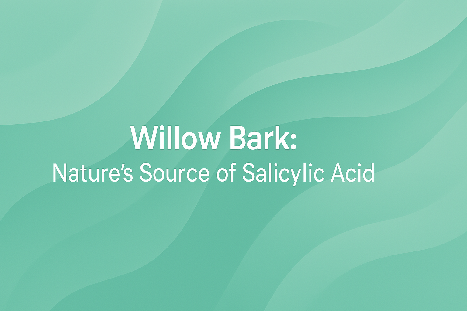 Willow Bark: Nature's Source of Salicylic Acid