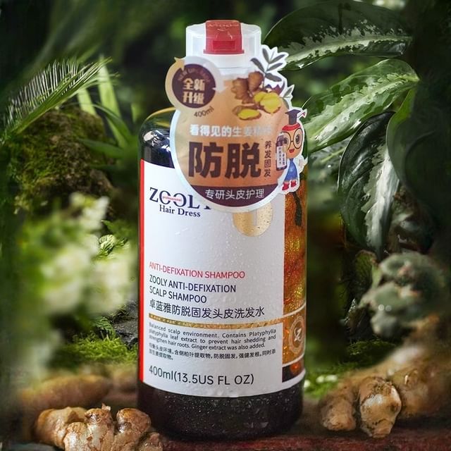 ZOOLY No.1 Anti Hair Loss Scalp Care Shampoo